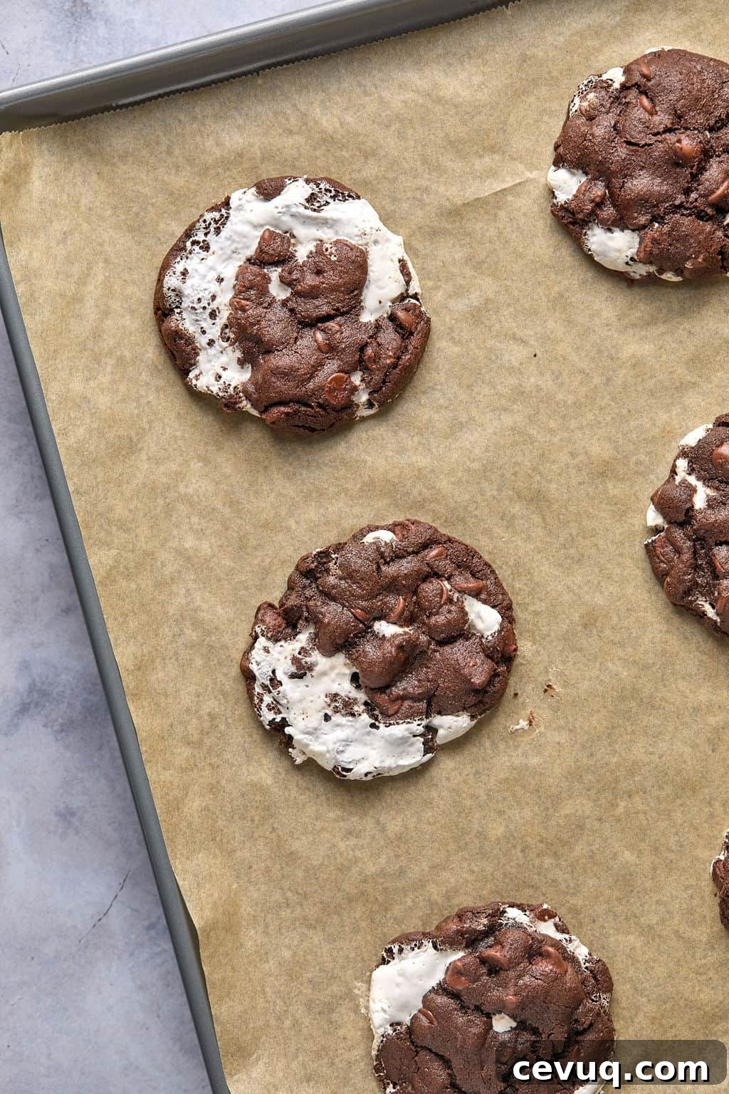 freshly baked mexican hot chocolate cookies cooling on a cookie sheet.