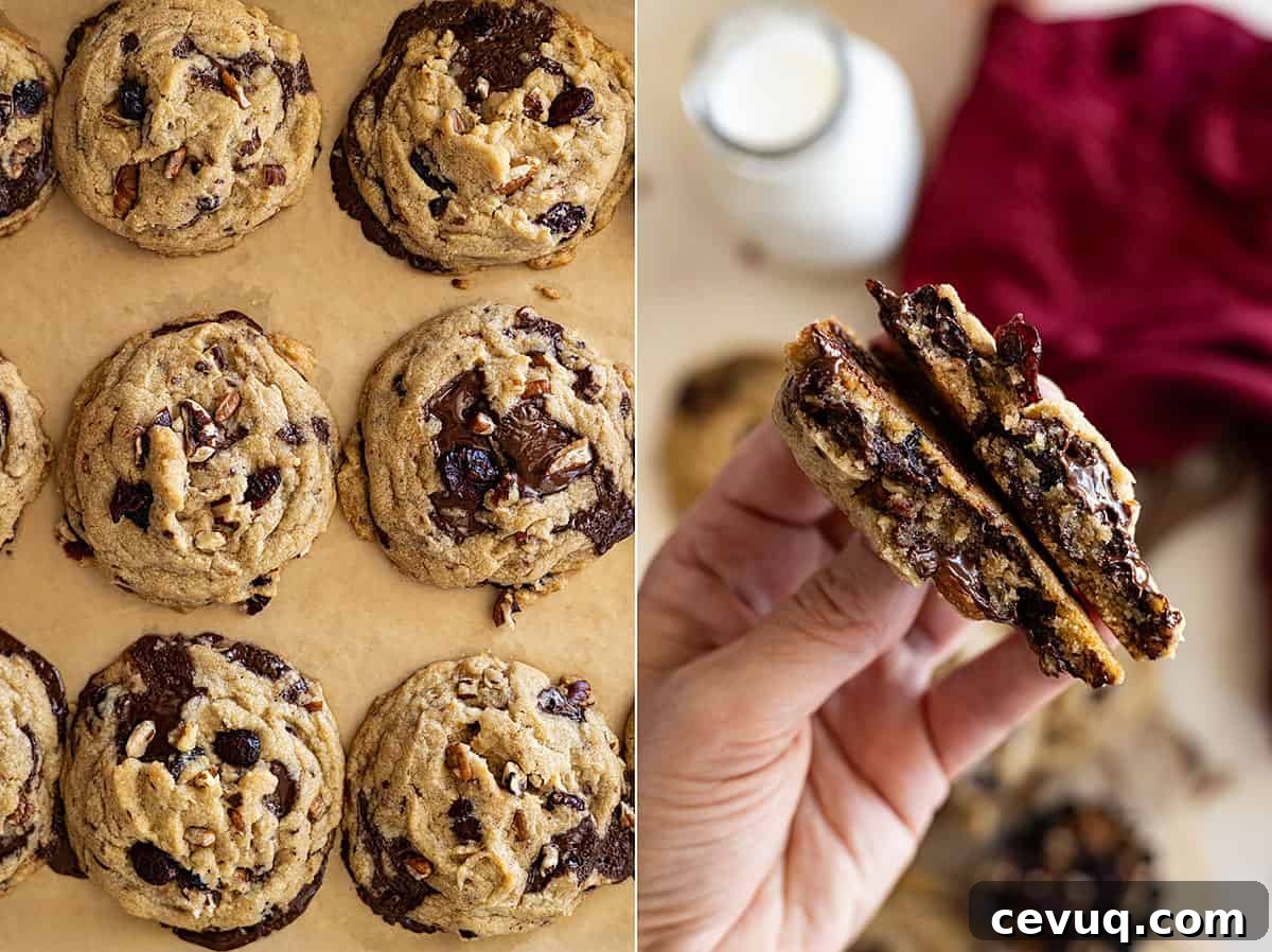 Dark Chocolate and Cranberry Cookies — Rich Chewy Recipe 5 Two pictures side-by-side. One showing cookies fresh from the oven on a baking sheet and the other a hand holding a cookie broke in half to show the inside.