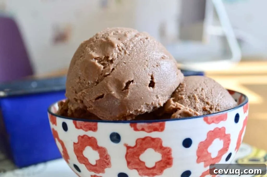 mocha icecream