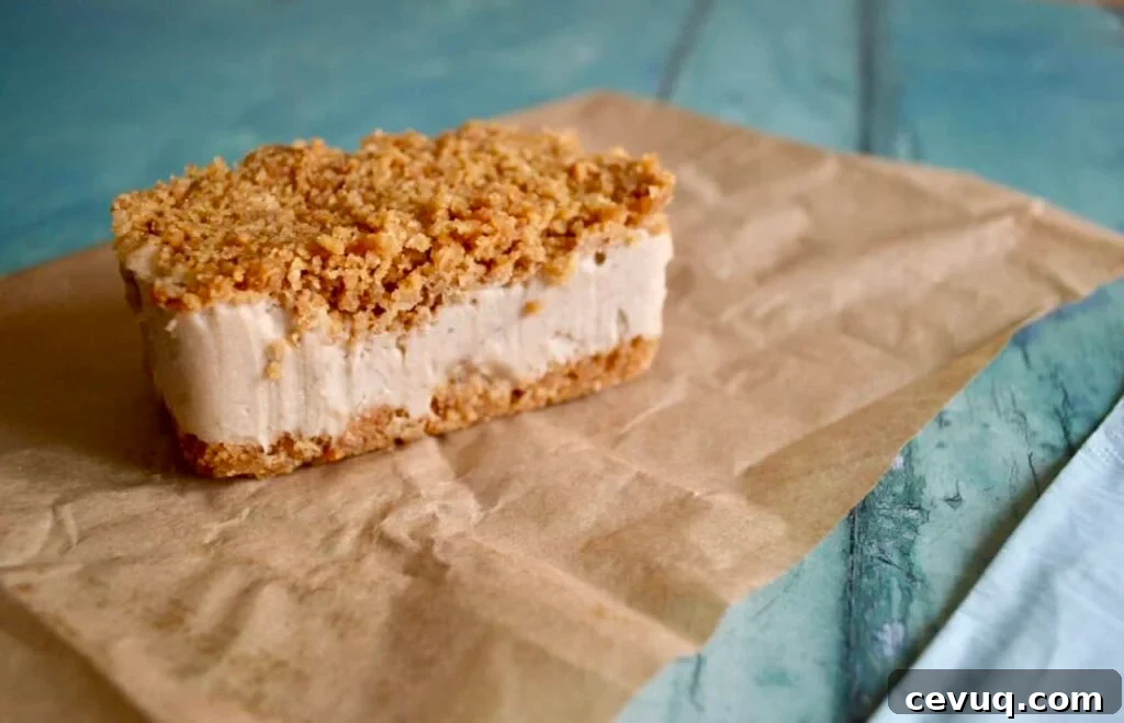 ice cream biscuit bar