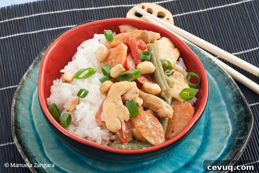 Low Fodmap Dandan Chicken
