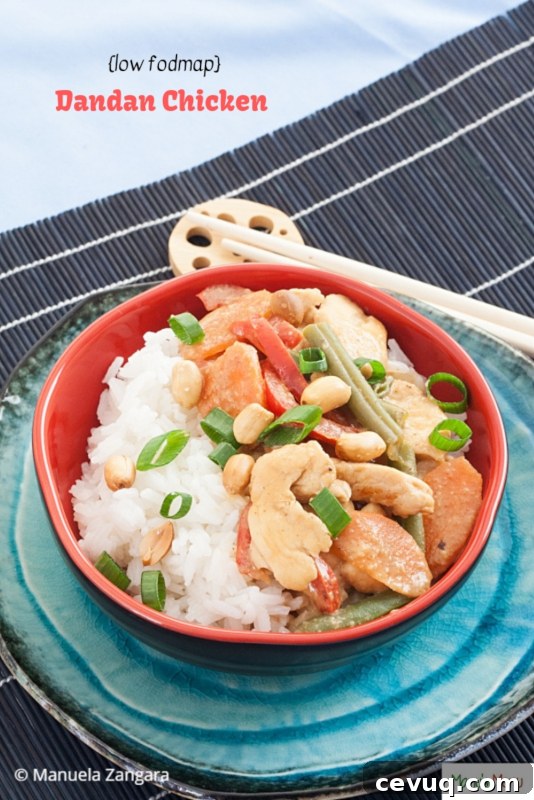 Low Fodmap Dandan Chicken