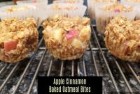 Apple Cinnamon Baked Oatmeal Bites — Cozy Snackable Bars