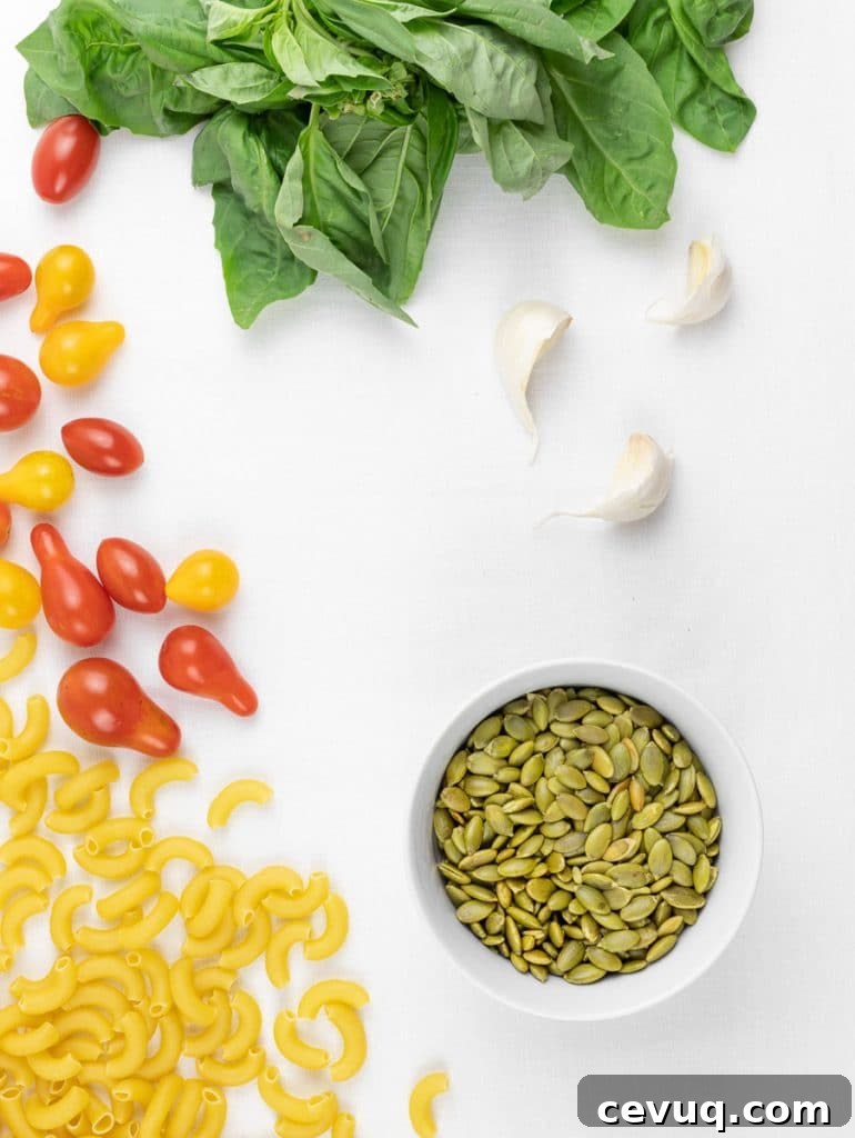 Chilled Vegan Pesto Pasta Salad Recipe for Summer Meals 3 pumpkin seeds, tomatoes, macaroni pasta, and basil