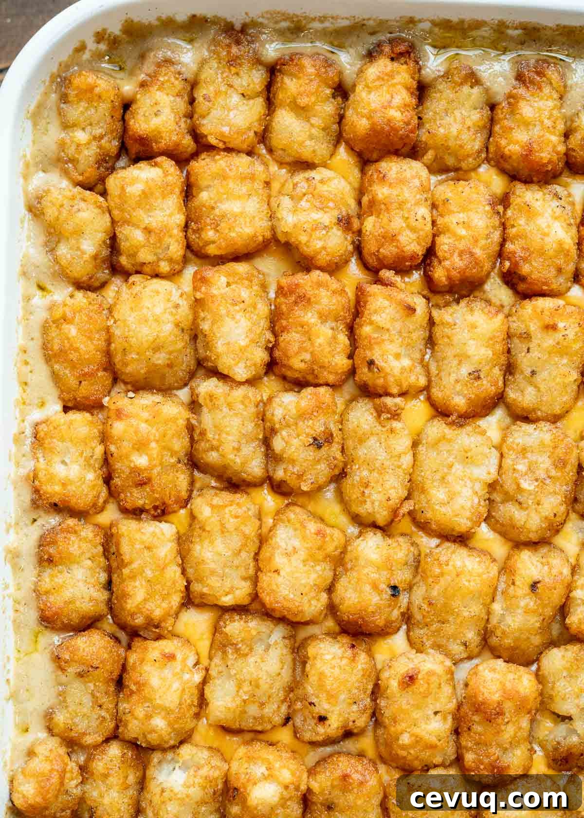 Bubbly cheesy cowboy casserole topped with crispy tater tots