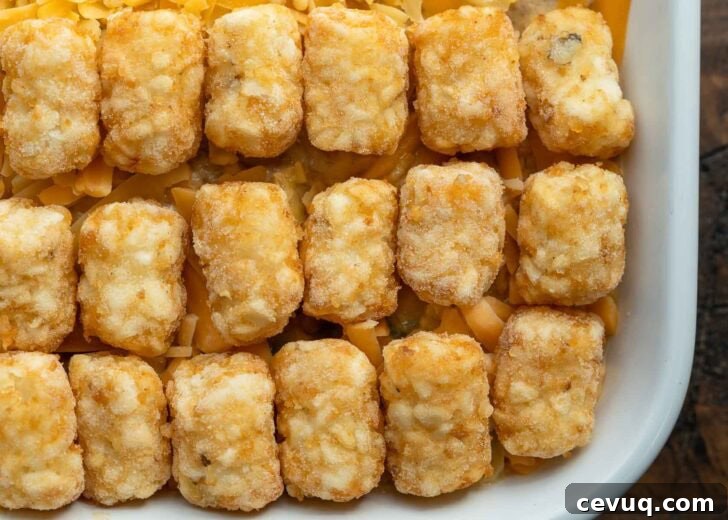 tater tots topping cheese and a creamy beef and veggie mixture for a cowboy casserole