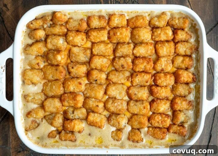 a baking dish filled with a creamy ground beef and veggie filling and topped with tater tots
