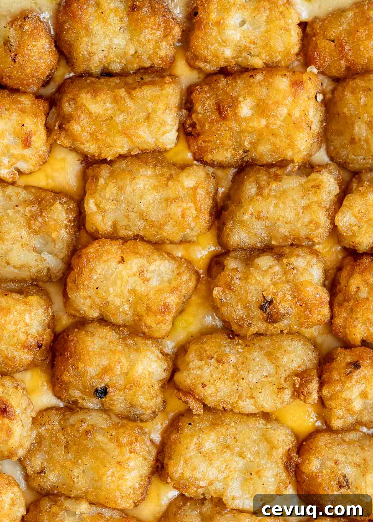 ultra crispy tater tots on a creamy, beefy cowboy casserole