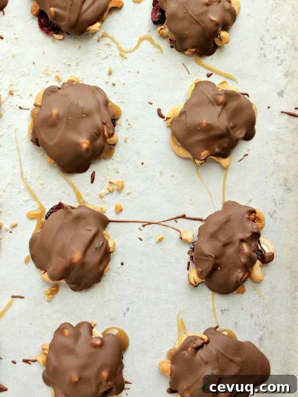Cashew Cranberry Turtles from Big Girl Small Kitchen