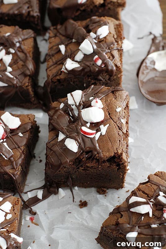 Thick + Fudgy Dark Chocolate Peppermint Mocha Brownies from Girl Versus Dough