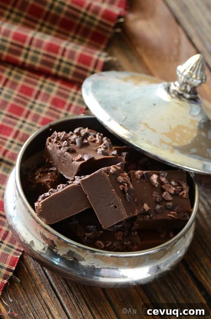 Easy Mocha Fudge with Cacao Nibs from An Edible Mosaic