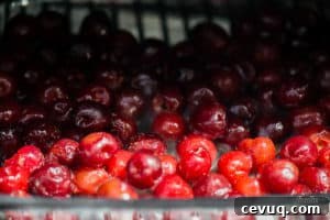 cherries in pan on grill