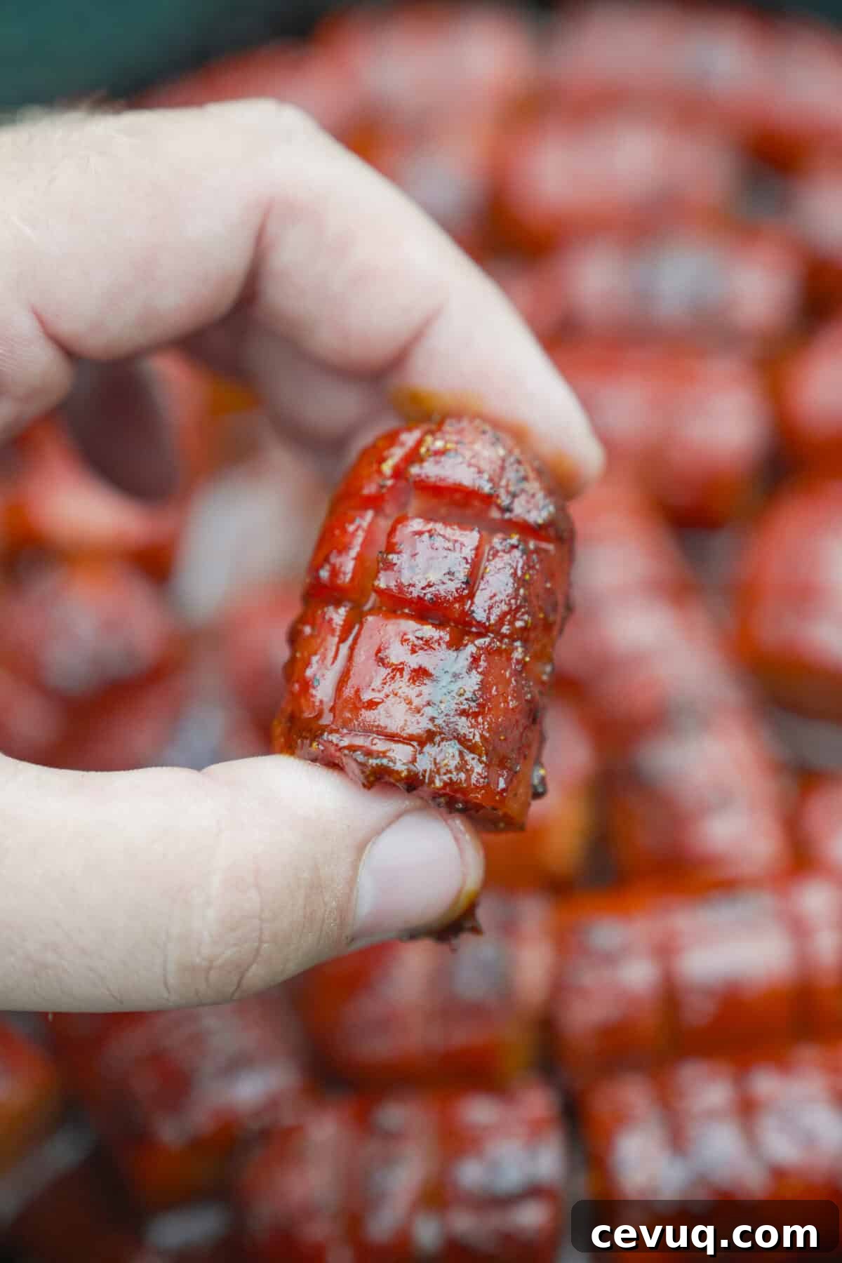 A close up shot of the hot dog bites.