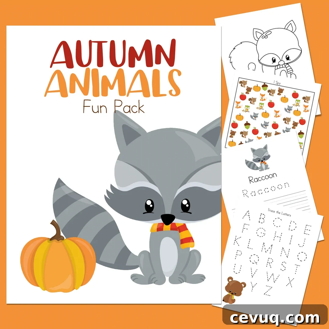 Animals worksheets
