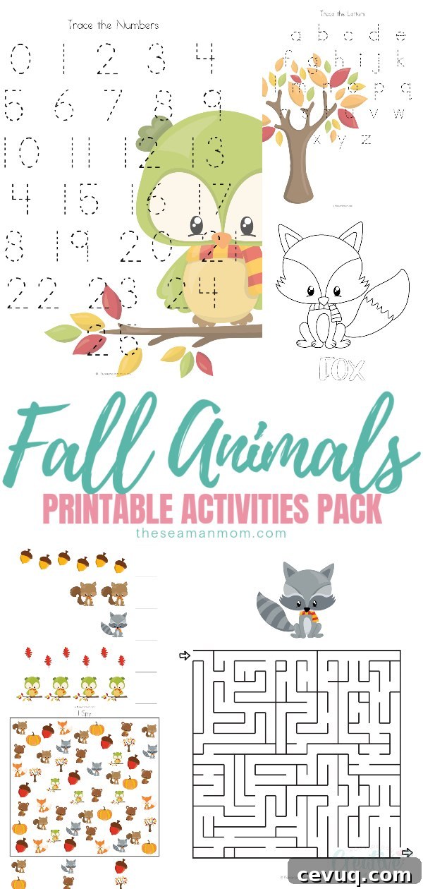Autumn animals activities