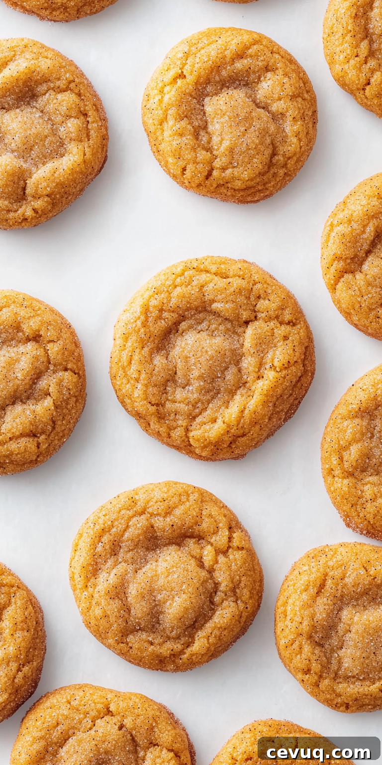 Pumpkin snickerdoodles on a clean surface
