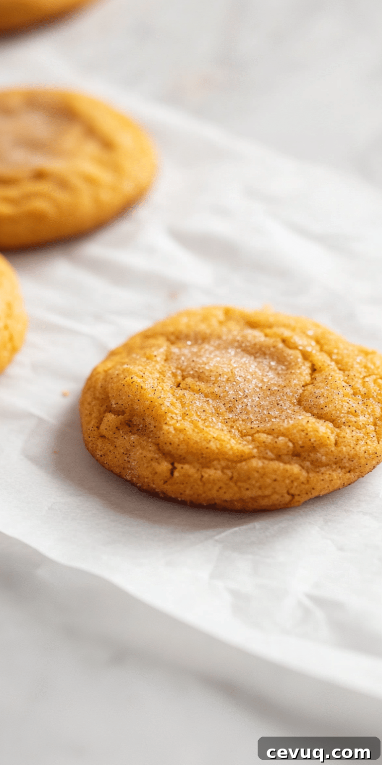Pumpkin snickerdoodles on parchment paper