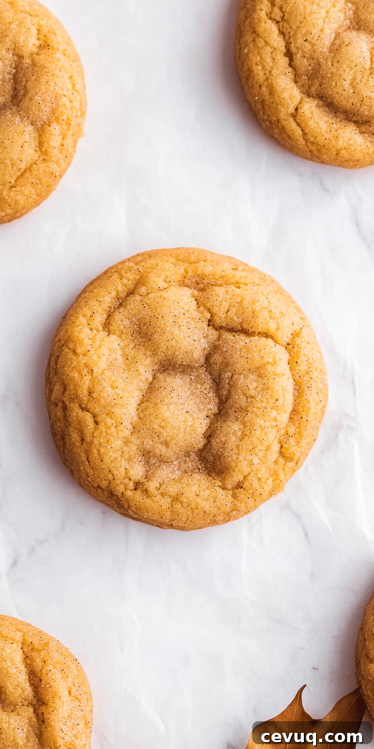 Stack of pumpkin snickerdoodles
