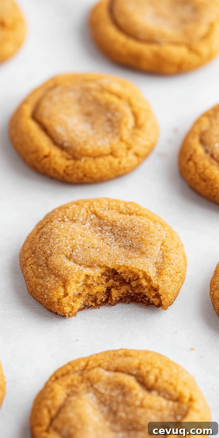 Pumpkin Snickerdoodles
