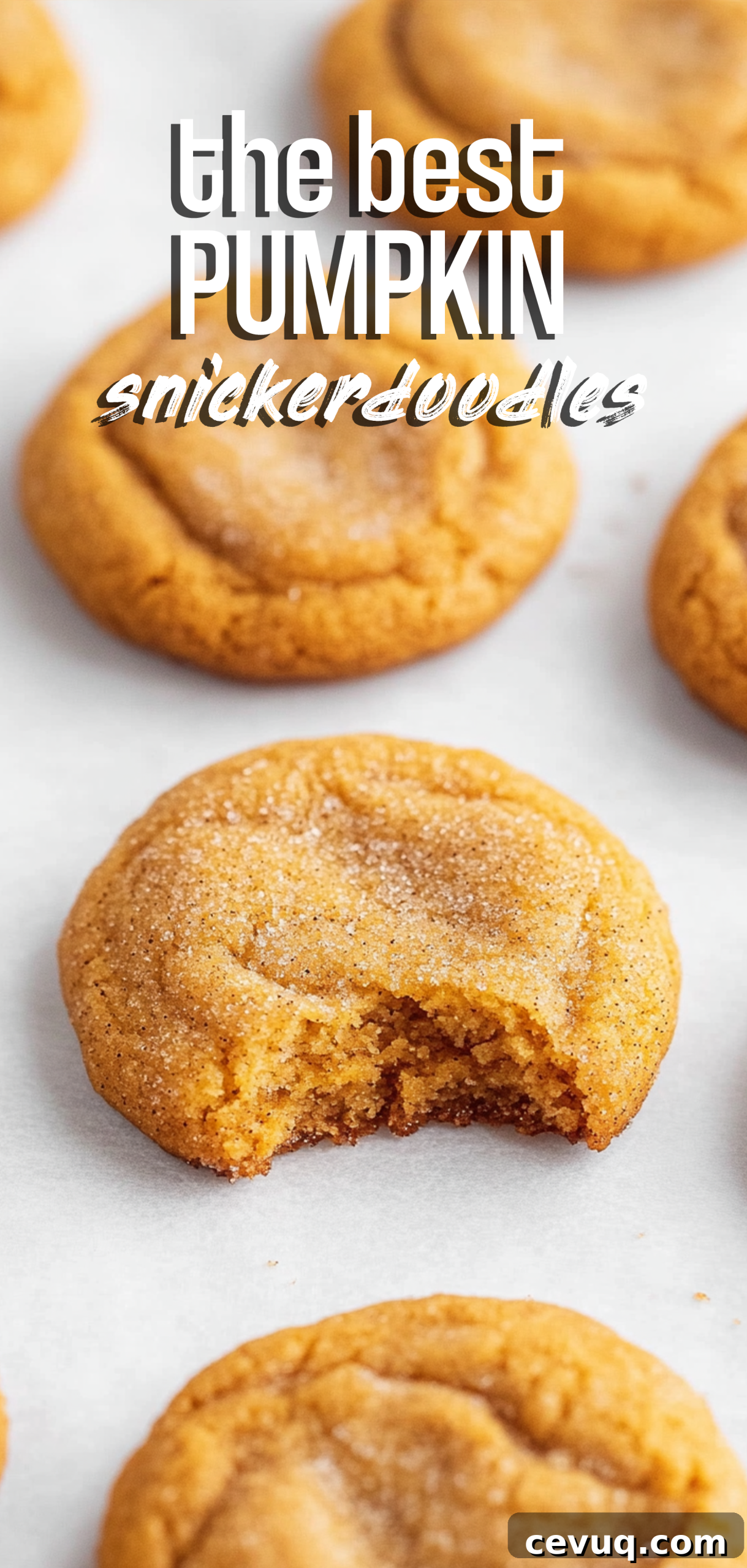 Pumpkin snickerdoodles final image