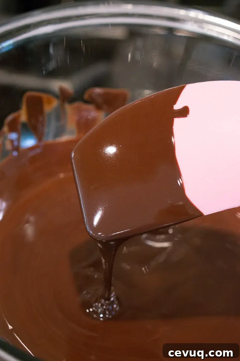 melted chocolate in a bowl