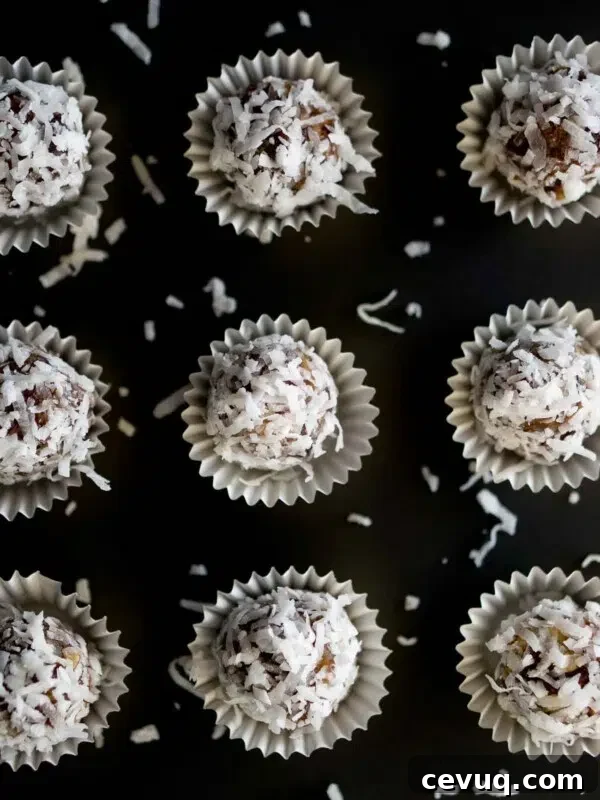 Healthy No Bake Coconut Date Bites