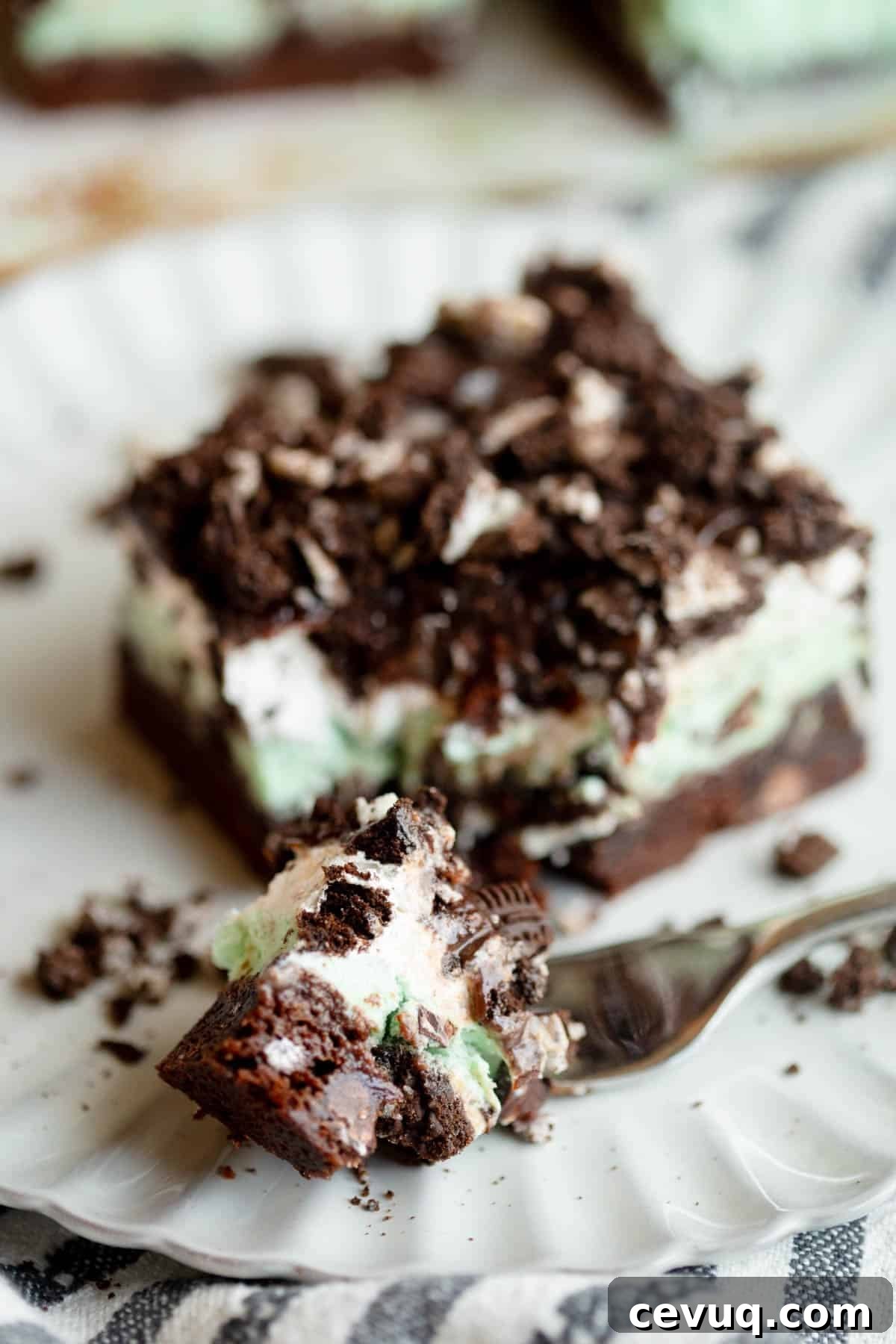 Mint Brownie Ice Cream Bars Recipe — Homemade Frozen Treats 14 img 38183 13