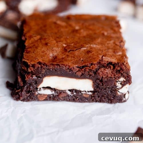Peppermint Patty Brownies