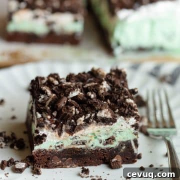 Mint Brownie Ice Cream Bars Recipe — Homemade Frozen Treats 19 Mint Brownie Ice Cream Bars