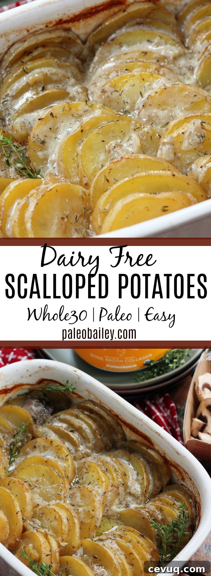 Scalloped Potatoes with Mushrooms & Rosemary — Paleo Whole30 Dairy-Free 2 Dairy Free Creamy Scalloped Potatoes are the perfect side dish for any occasion. Everyone in the family will love them! #paleo #whole30 #whole30sidedish #scallopedpotatoes #paleoscallopedpotatoes