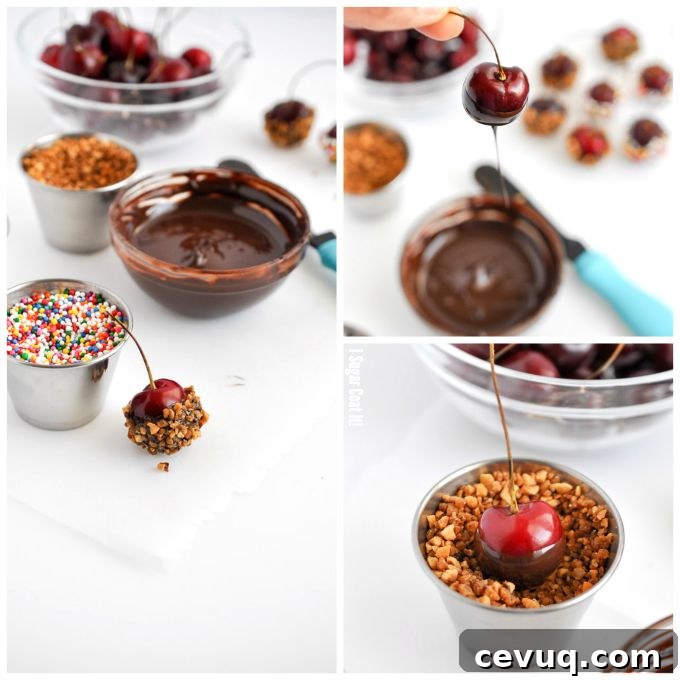 Chocolate Dipped Champagne Cherries