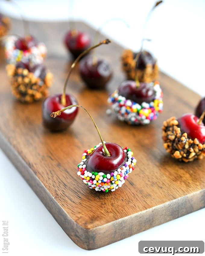 Chocolate Dipped Champagne Cherries