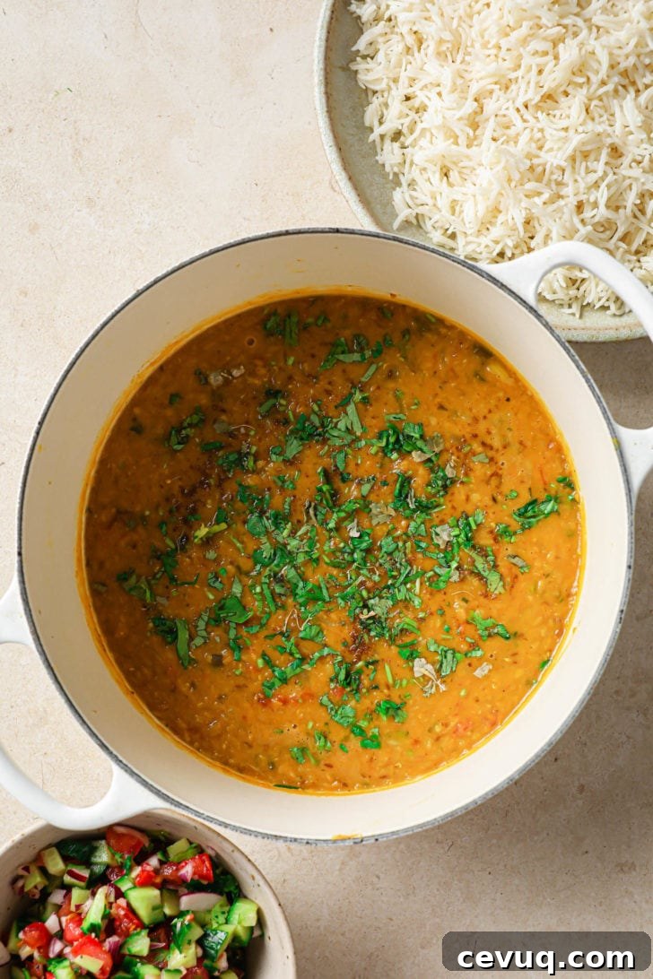 Masoor Dal garnished with cilantro with rice on the side.