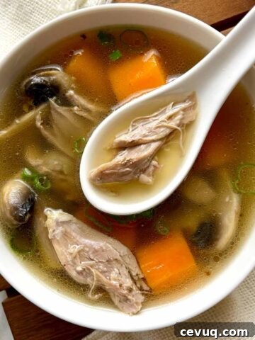 overhead shot of bowl of duck soup
