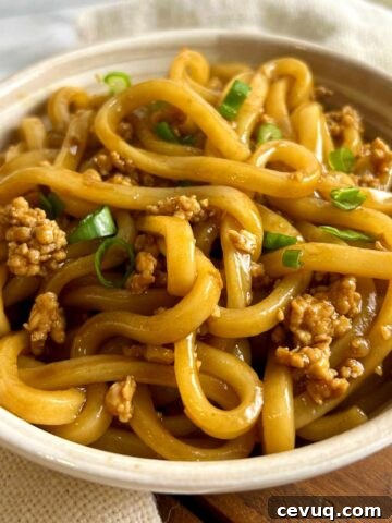 stir fried udon in bowl