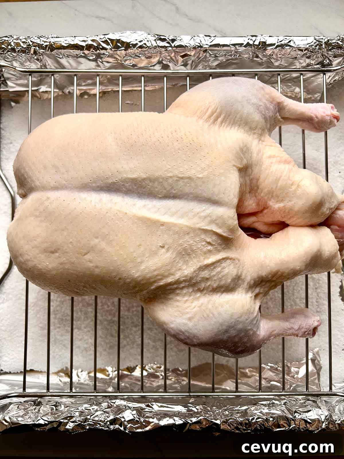 duck on roasting rack