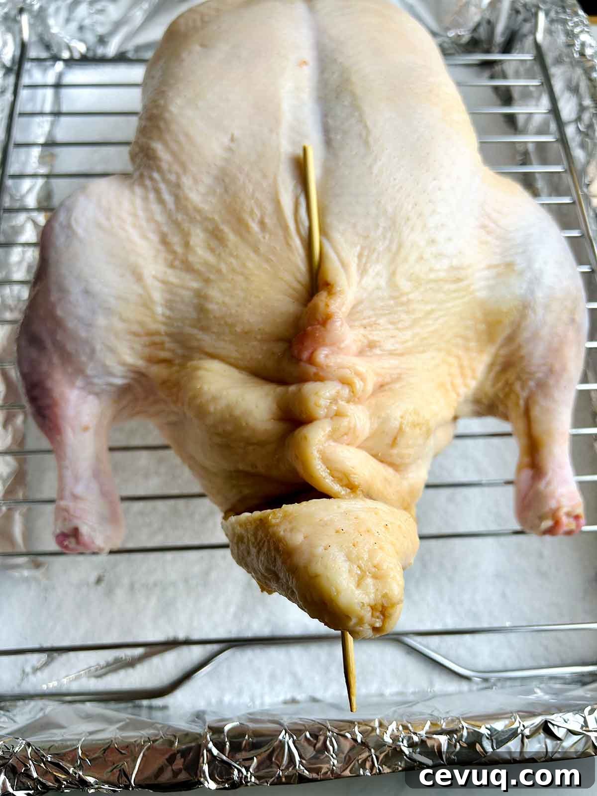duck cavity closed with skewer