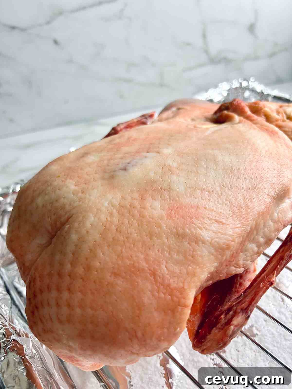 duck after drying in fridge for 24 hours