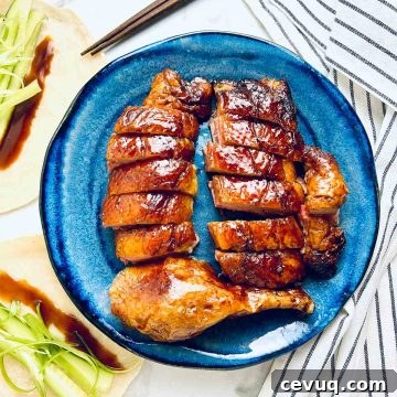 chinese roast duck plating