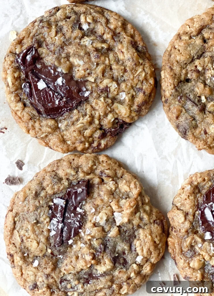 Chewy Oatmeal Chocolate Chip Cookies Recipe 3 two large cookies with puddles of dark chocolate and flaked salt