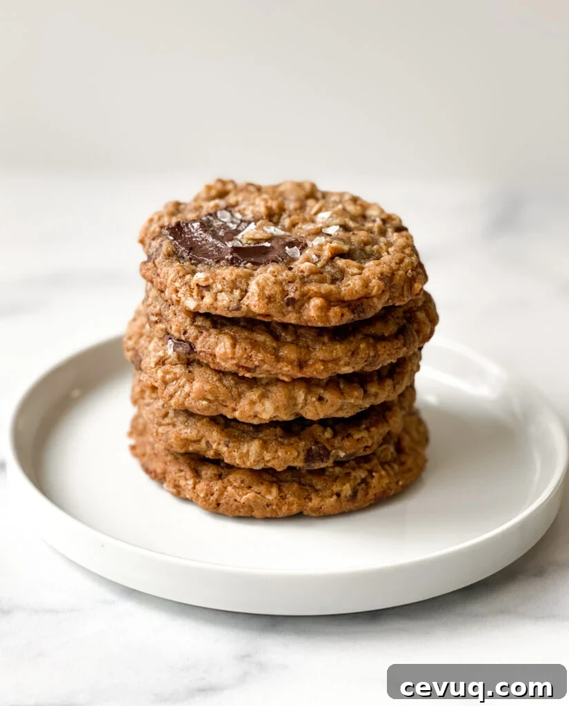 Chewy Oatmeal Chocolate Chip Cookies Recipe 4 5 cookies stacked on white plate