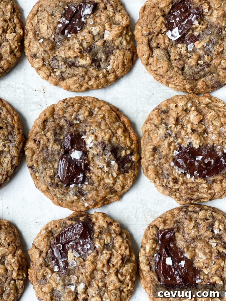 Chewy Oatmeal Chocolate Chip Cookies Recipe 6 closeup of cookies all in a row touching