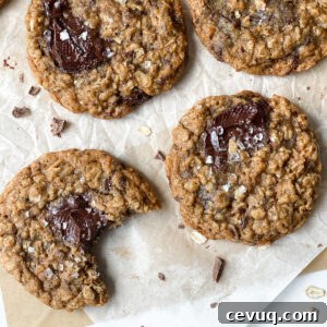 Chewy Oatmeal Chocolate Chip Cookies Recipe 7 oatmeal chocolate chip cookies on a paper.
