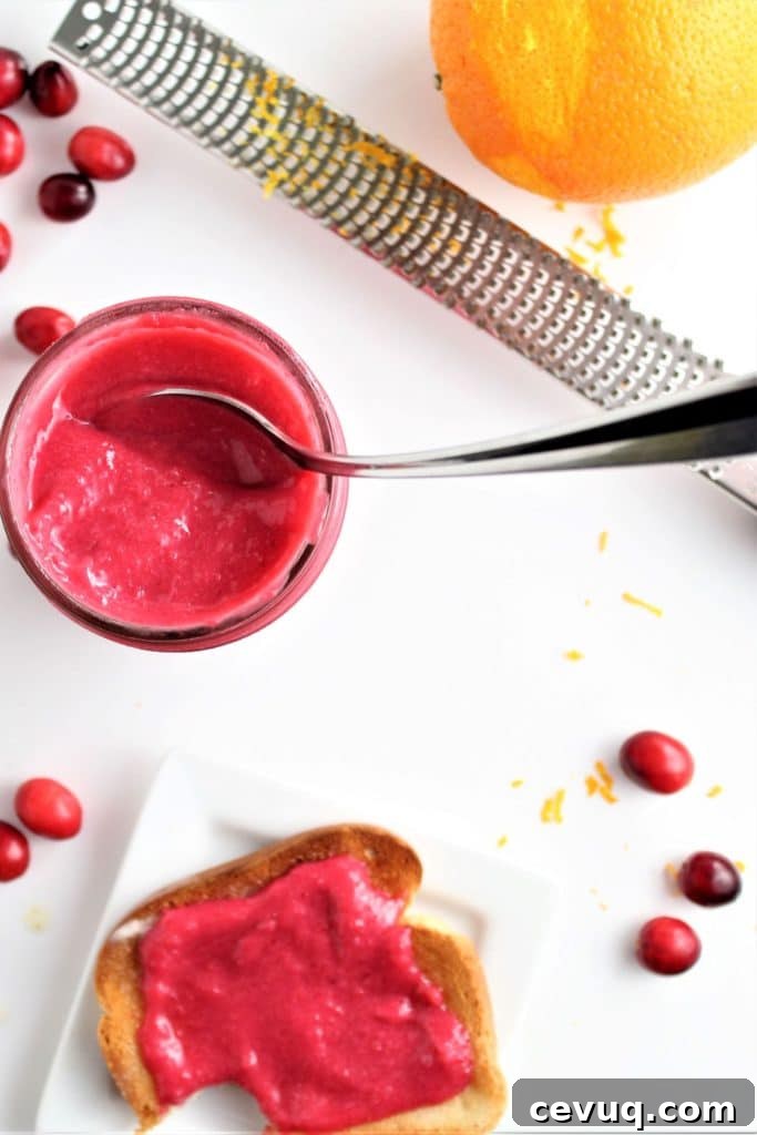 homemade cranberry curd spread on toast