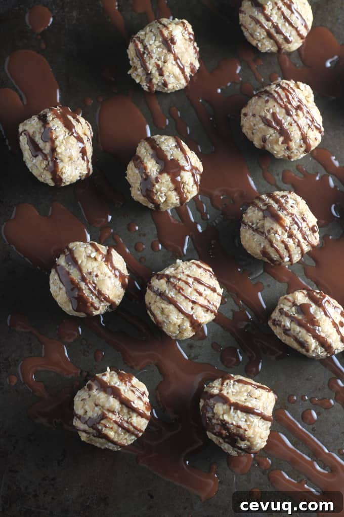no bake chocolate chia energy bites