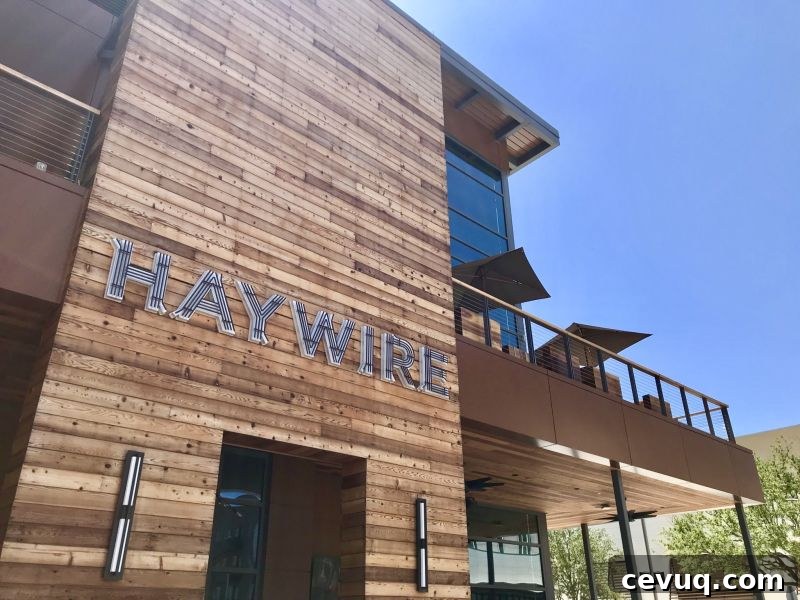 Plano Staycation Guide: Top Eats and Must-Do Activities 12 haywire plano