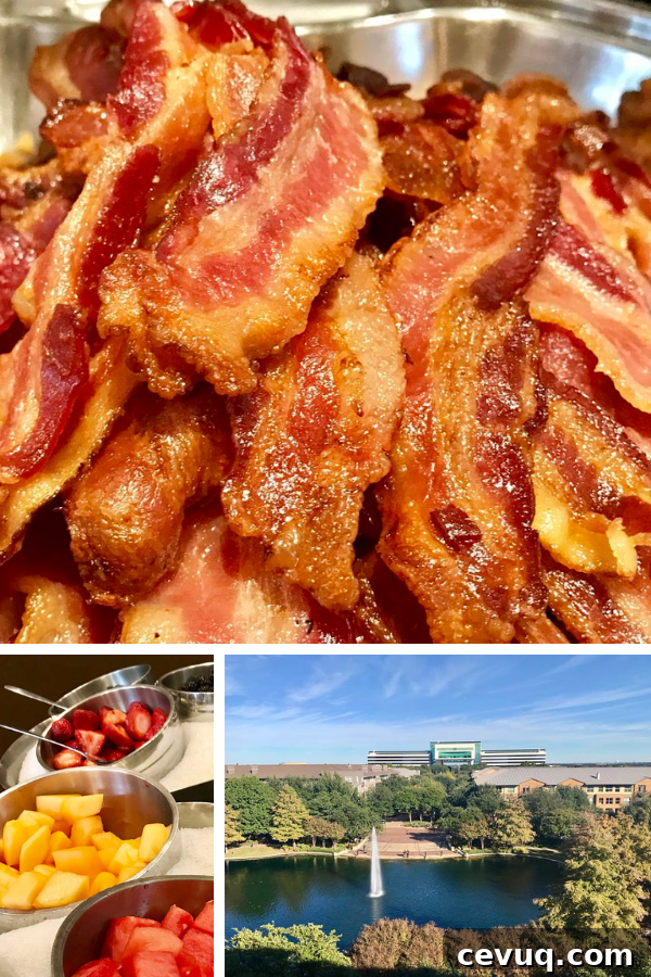 Plano Staycation Guide: Top Eats and Must-Do Activities 4 Plano, TX Staycation: Where to Eat, What to Do