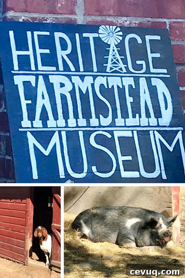 Plano Staycation Guide: Top Eats and Must-Do Activities 15 plano heritage farmstead museum