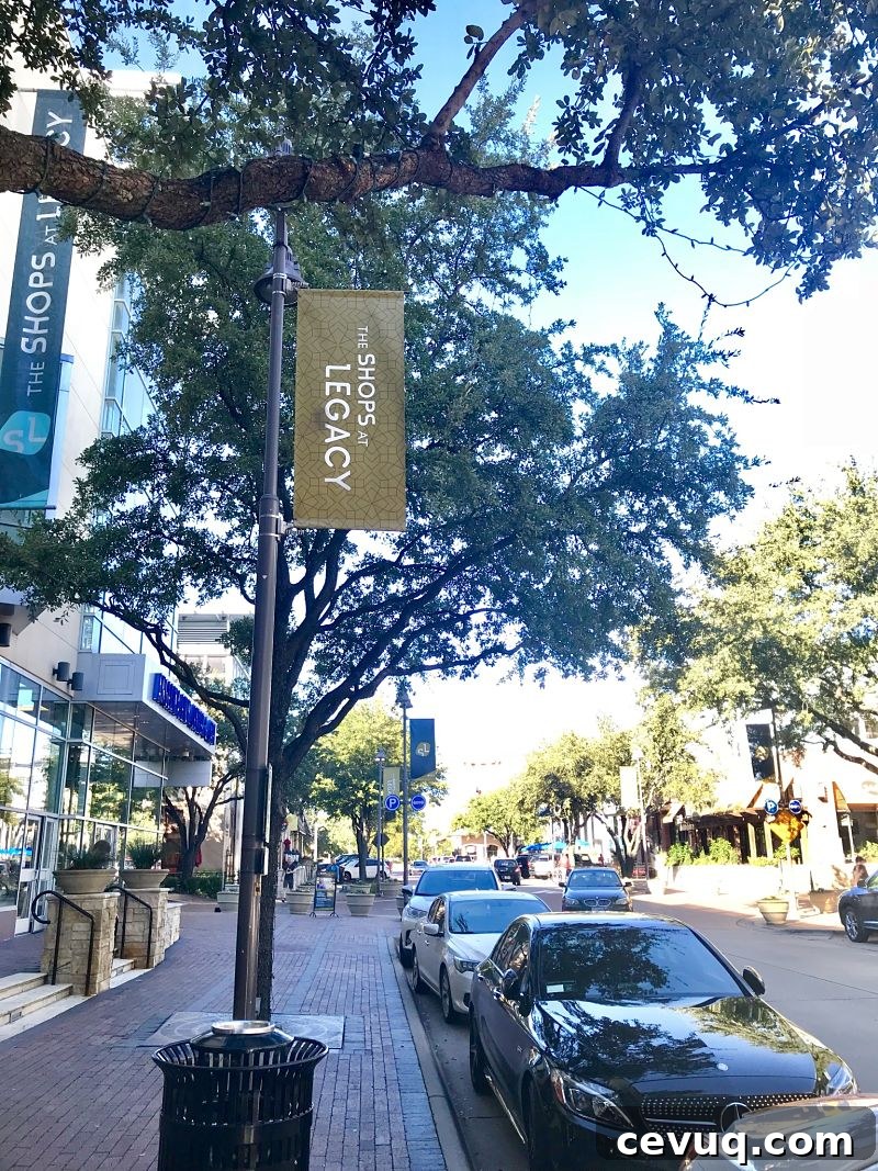 Plano Staycation Guide: Top Eats and Must-Do Activities 16 Plano, TX Staycation: where to eat, what to do