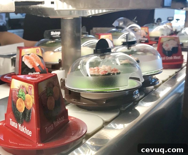 Plano Staycation Guide: Top Eats and Must-Do Activities 6 kura revolving sushi plano kitchen gone rogue review